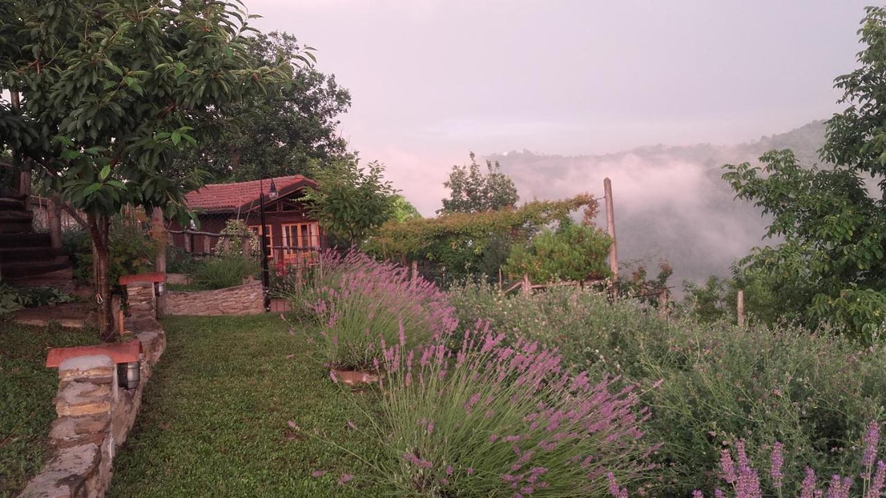 Magiche Langhe Panzió Paroldo Kültér fotó