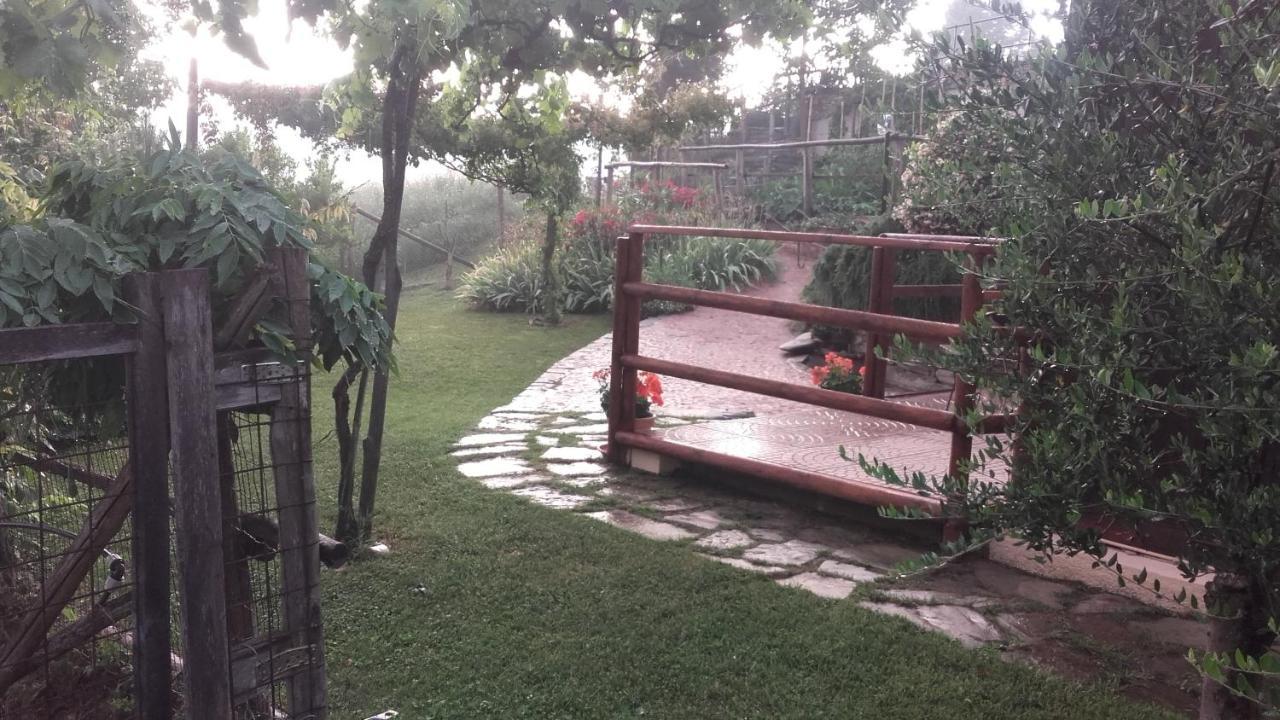 Magiche Langhe Panzió Paroldo Kültér fotó